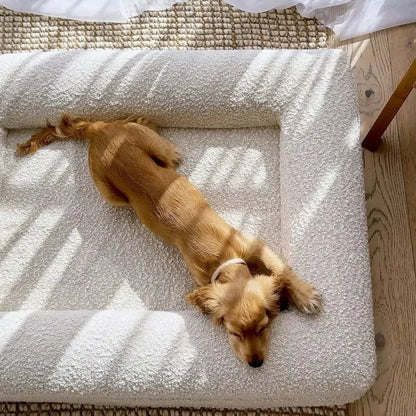 Balu Premium Design-Hundesofa