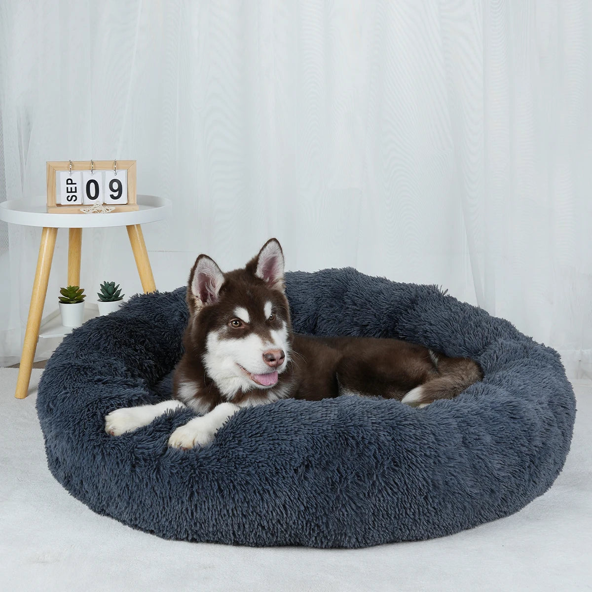 ELYON Entspannungs-Wolkenbett für Hunde
