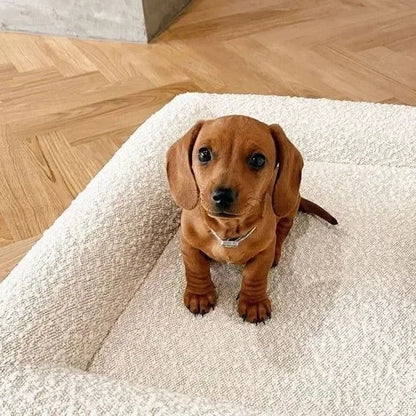 Balu Premium Design-Hundesofa