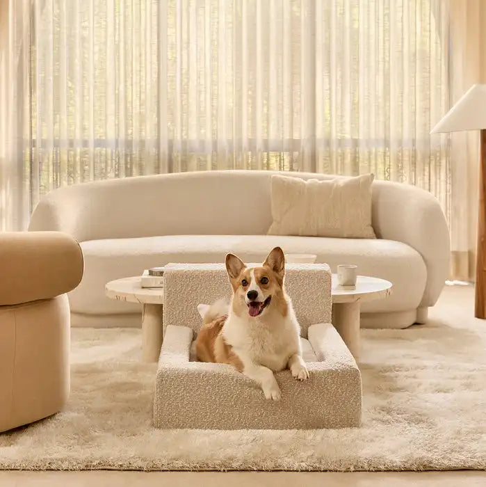LUMORA Orthopädisches Hundebett