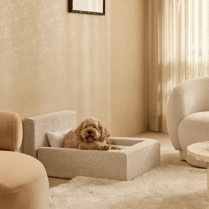 LUMORA Orthopädisches Hundebett