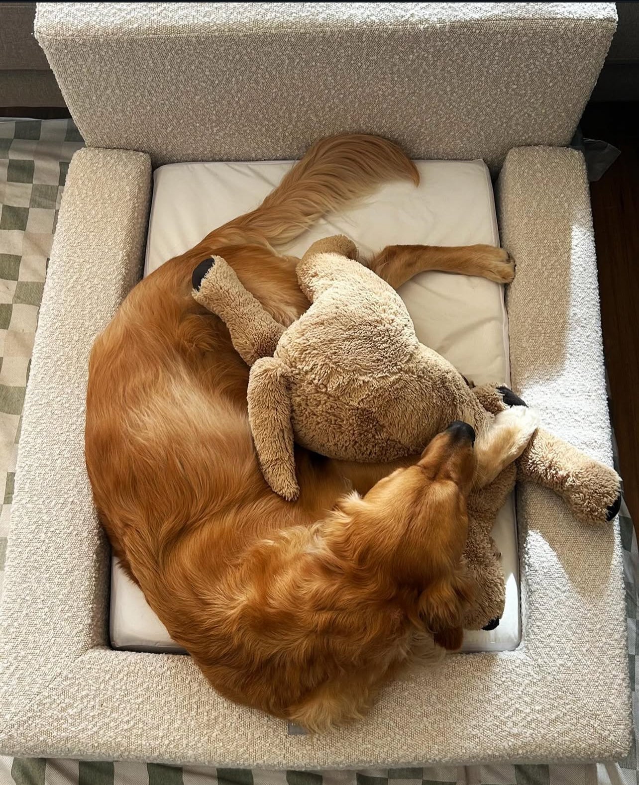 LUMORA Orthopädisches Hundebett