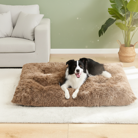 NOREA Wohlfühl-Nest