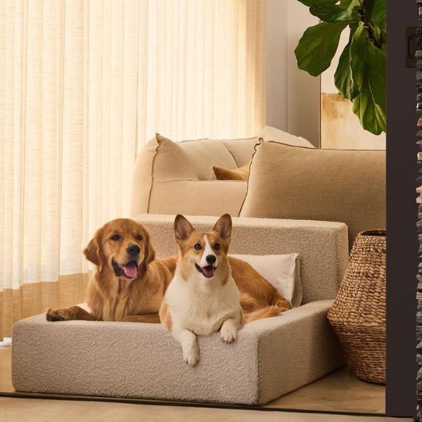 LUMORA Orthopädisches Hundebett